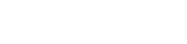 pingco logo